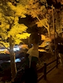 あかり