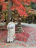 ひな