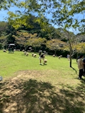 女の子の名前