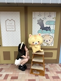 あむ