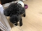 プロフィール写真2・さわき(スタッフ)|六本木Excellent 岡山中央町店・エクセレント - 岡山市(中央町)のキャバクラ