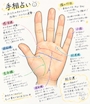 新着ブログ 手相占いしてもらた✋