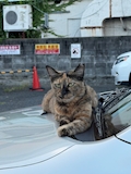 ゆうた