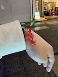 ピクにしくん