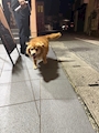 新着ブログ 台風だけどしゅっ🌀🌀🌀