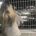 みさ