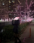 のあ
