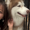 ゆあ