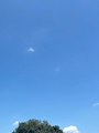 新着ブログ 久しぶりの晴天にテン