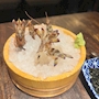 新着ブログ しゅ
