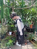 はな