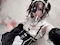 プロフィール写真3・るな｜Girl's Bar A's・アズ - 歌舞伎町のガールズバー