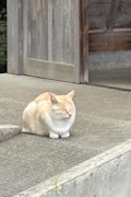 かぐら