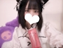 ぬいねこ