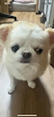 プロフィール写真2・おおしま|One eight・ワンエイト - 名古屋 錦のキャバクラ