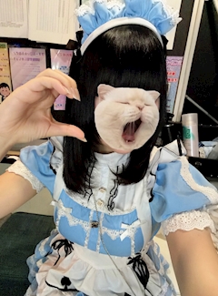 プロフィール写真1・あかり|わんだーらびりんす - 池袋東口のコンカフェ