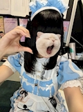 女の子の名前