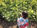 女の子の名前