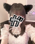 みいねこ