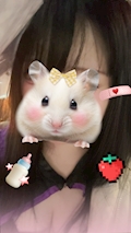 女の子の名前