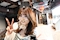 プロフィール写真1・しゅり|B-panic 梅田店・ビーパニック - 堂山町の昼キャバ
