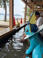 新着ブログ ポケモン！⚡️
