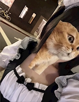 *