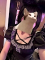 はな🐈⬛このねこ🐈⬛