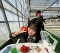 女の子の名前
