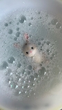 まりん