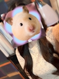 女の子の名前