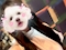 プロフィール写真1・あき|DESPERATE・デスパレート - 名古屋 金山の熟女パブ/熟女キャバクラ