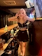 プロフィール写真17・ルイ|THE MAJESTY 浜松千歳・ザ・マジェスティー - 浜松 千歳のキャバクラ
