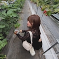 女の子の名前