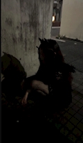 ゆあ