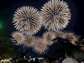 はるか