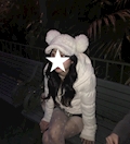 るな