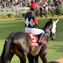 新着ブログ 🏇⸝⋆⸝⋆