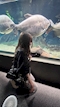 プロフィール写真3・立花 りあ|All iN・オールイン - 刈谷のキャバクラ
