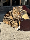 のぞみ