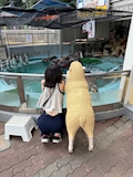 るな