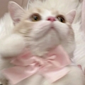 にこ