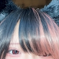 ねくろねこ