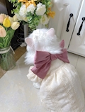 にいな