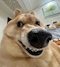 プロフィール写真2・聖帝やじじ🔆‬【吉祥寺スマイリー】｜Smiley・スマイリー - 吉祥寺南口のガールズバー