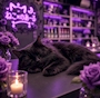 てんちょ🐈‍⬛