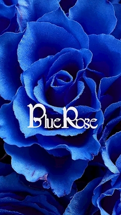 プロフィール写真1・あかね｜Blue Rose・ブルーローズ - 草加のクラブ/ラウンジ