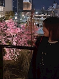 ここ