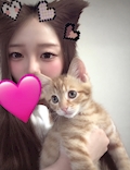 さくら