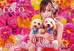 プロフィール写真11・COCO｜岐阜 可児 キャバクラ・アンダーグラウンド